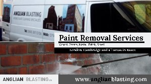 Internal & External Paint Remova... Picture