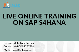 SAP S4HANA LOGISTICS ONLINE TRAI... Picture