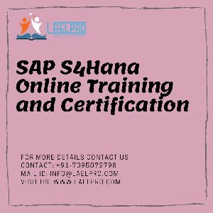 SAP S4HANA LOGISTICS ONLINE TRAI... Picture